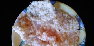 sabudana papad