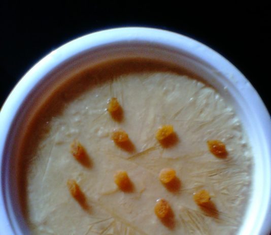 प्योसरी बनाने की विधि indian recipes in hindi ,