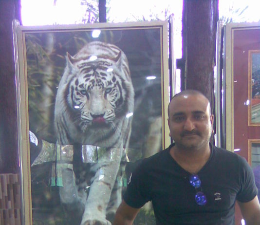 white tiger safari satna madhya pradesh adventures journey