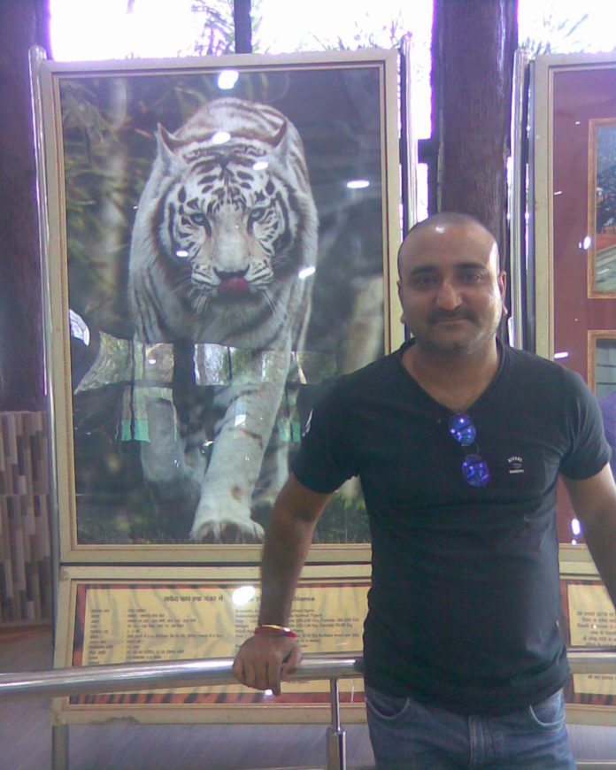 white tiger safari satna madhya pradesh adventures journey