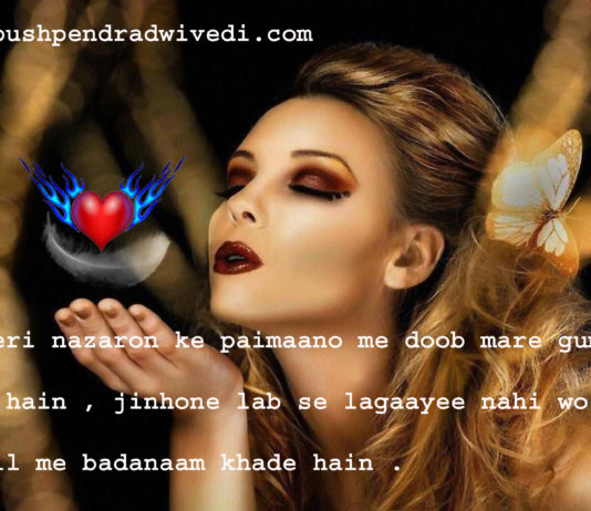 जो तेरी नज़रों के पैमानों में डूब मरे गुमनाम पड़े हैं urdu quotes in hindi 140 words ,