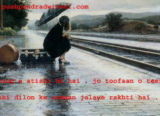 quotes on darkness in hindi ये ज़ौक़ ए आतिशी ही है , quotes on darkness in hindi ये ज़ौक़ ए आतिशी ही है ,