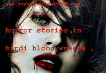 horror stories in hindi bloody meena ,