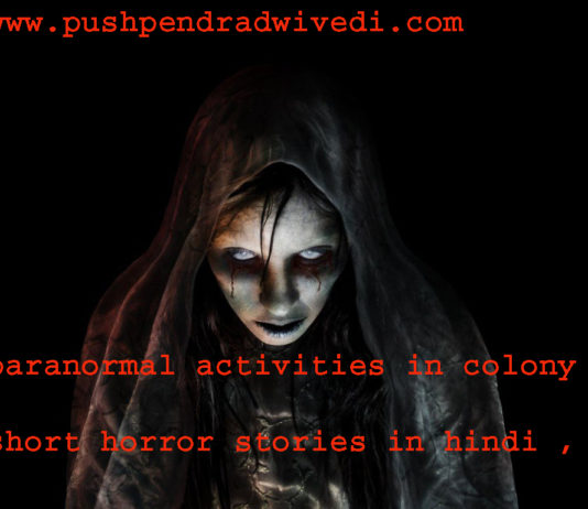 paranormal activities in colony short horror stories in hindi ,