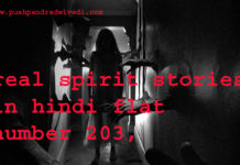 real spirit stories in hindi flat number 203 ,