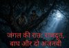 जंगल की रात: राजदूत, बाघ और दो अजनबी की कहानी